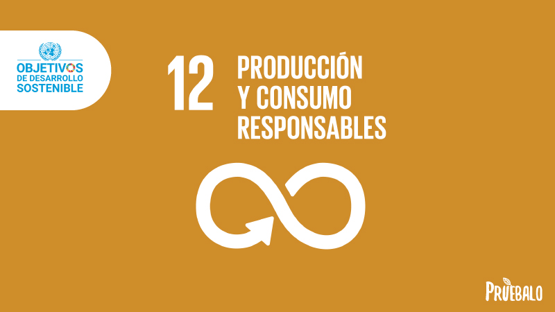 consumo responsable ODS