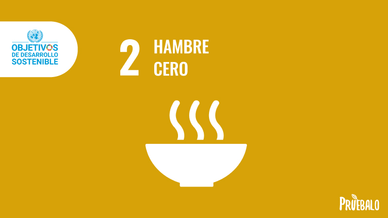 hambre cero ODS