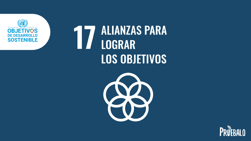 lograr objetivos ODS
