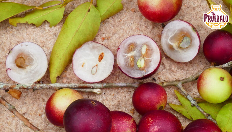 Para qué sirve el camu camu