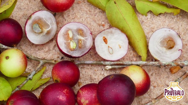 Ingredientes de jugo de camu camu